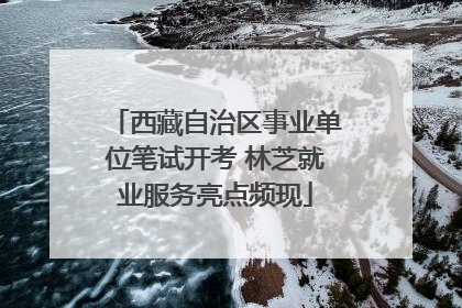西藏自治区事业单位笔试开考 林芝就业服务亮点频现