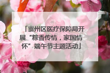 襄州区医疗保障局开展“粽香传情，家国情怀”端午节主题活动