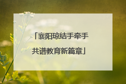 襄阳琼结手牵手 共谱教育新篇章