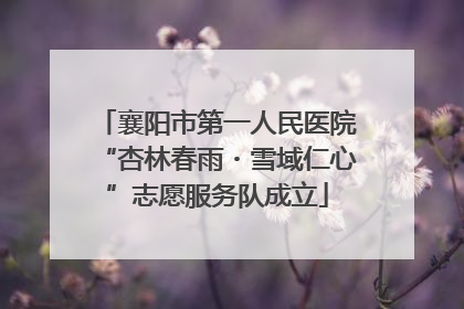襄阳市第一人民医院“杏林春雨・雪域仁心”志愿服务队成立