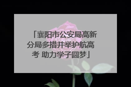 襄阳市公安局高新分局多措并举护航高考 助力学子圆梦