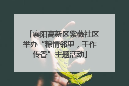 襄阳高新区紫薇社区举办“粽情邻里，手作传香”主题活动