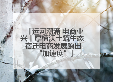 运河潮涌 电商业兴丨厚植沃土筑生态 宿迁电商发展跑出“加速度”