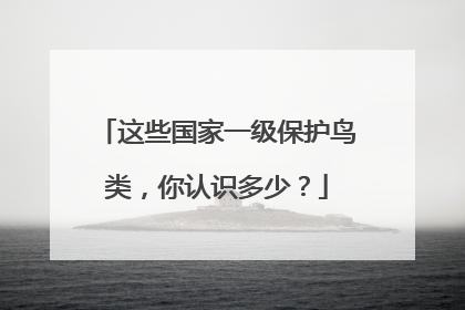 这些国家一级保护鸟类，你认识多少？