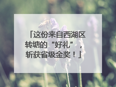 这份来自西湖区转塘的“好礼”，斩获省级金奖！