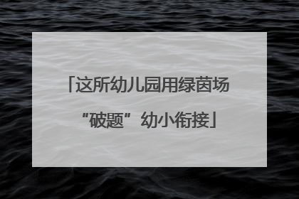 这所幼儿园用绿茵场“破题”幼小衔接