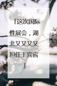 这次国际性展会，湖北又又又又担任主宾省
