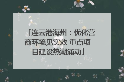 连云港海州：优化营商环境见实效 重点项目建设热潮涌动