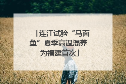 连江试验“马面鱼”夏季高温混养 为福建首次