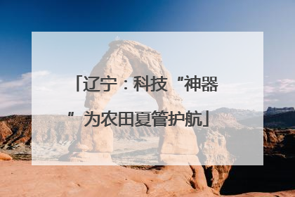 辽宁：科技“神器”为农田夏管护航