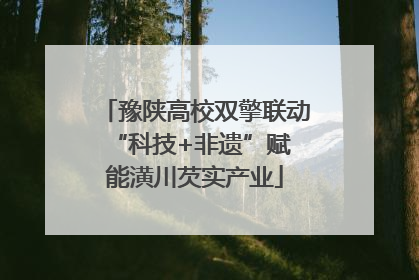 豫陕高校双擎联动 “科技+非遗”赋能潢川芡实产业