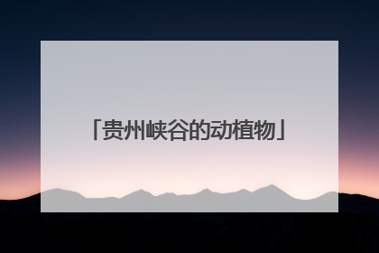贵州峡谷的动植物