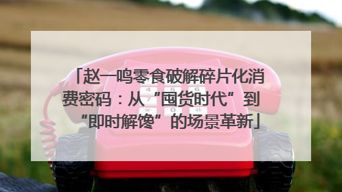 赵一鸣零食破解碎片化消费密码：从“囤货时代”到“即时解馋”的场景革新