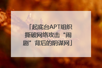 起底台APT组织 撕破网络攻击“闹剧”背后的阴谋网