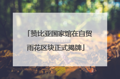 赞比亚国家馆在自贸雨花区块正式揭牌