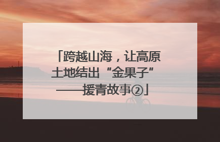 跨越山海，让高原土地结出“金果子”——援青故事②