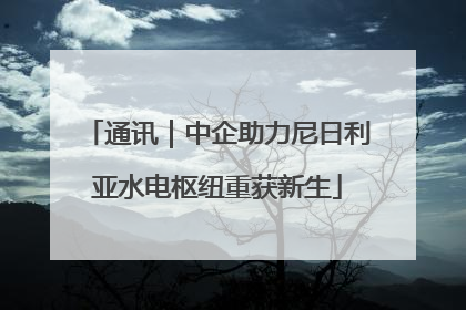 通讯｜中企助力尼日利亚水电枢纽重获新生