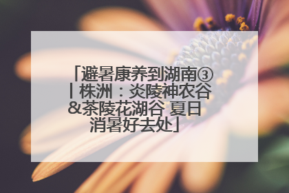 避暑康养到湖南③丨株洲：炎陵神农谷&茶陵花湖谷 夏日消暑好去处