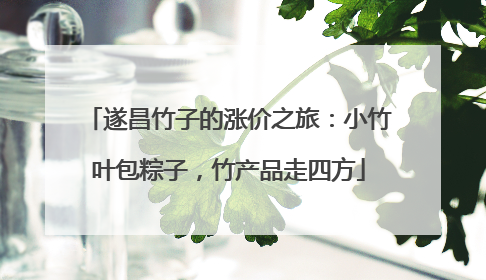 遂昌竹子的涨价之旅：小竹叶包粽子，竹产品走四方