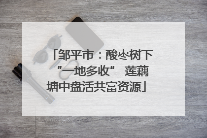 邹平市：酸枣树下“一地多收” 莲藕塘中盘活共富资源