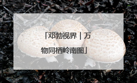 邓勃视界｜万物同栖岭南图