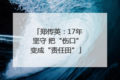 郑传英：17年坚守 把“伤口”变成“责任田”