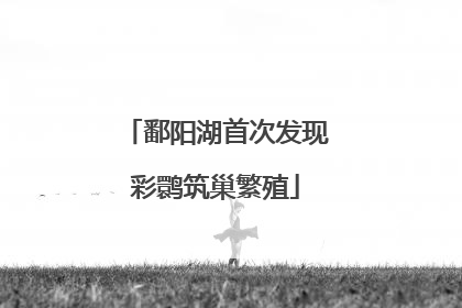 鄱阳湖首次发现彩鹮筑巢繁殖