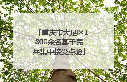 重庆市大足区1800余名基干民兵集中接受点验