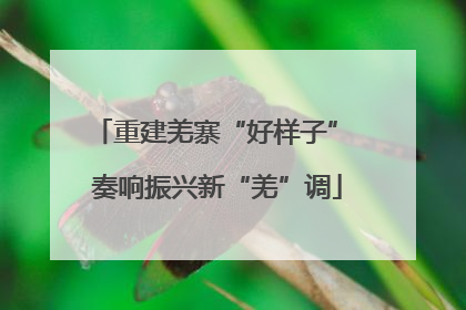 重建羌寨“好样子” 奏响振兴新“羌”调