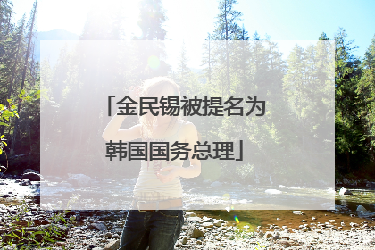 金民锡被提名为韩国国务总理