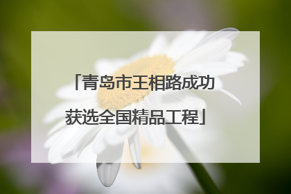 青岛市王相路成功获选全国精品工程