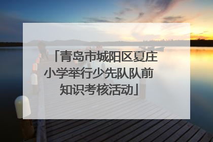 青岛市城阳区夏庄小学举行少先队队前知识考核活动