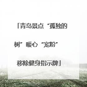 青岛景点“孤独的树”暖心“宠粉” 移除健身指示牌