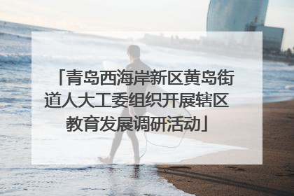 青岛西海岸新区黄岛街道人大工委组织开展辖区教育发展调研活动