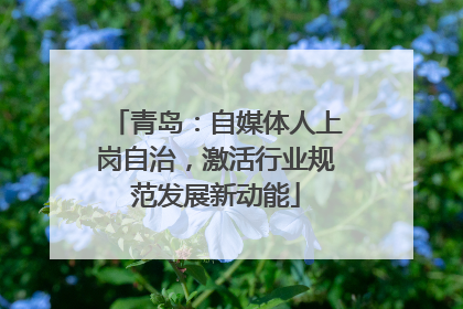 青岛：自媒体人上岗自治，激活行业规范发展新动能