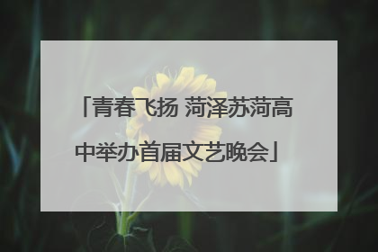 青春飞扬 菏泽苏菏高中举办首届文艺晚会