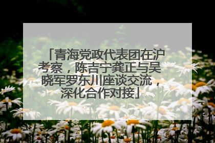 青海党政代表团在沪考察，陈吉宁龚正与吴晓军罗东川座谈交流，深化合作对接