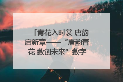 青花入时裳 唐韵启新章——“唐韵青花 数创未来”数字文创设计大赛启幕
