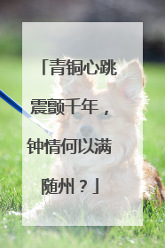 青铜心跳震颤千年，钟情何以满随州？