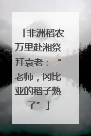 非洲稻农万里赴湘祭拜袁老：“老师，冈比亚的稻子熟了”
