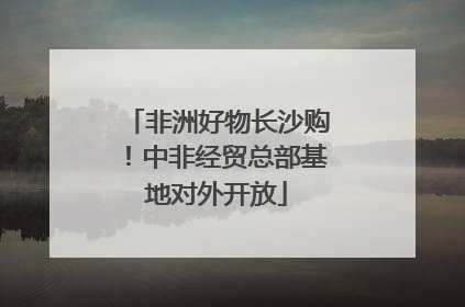非洲好物长沙购！中非经贸总部基地对外开放