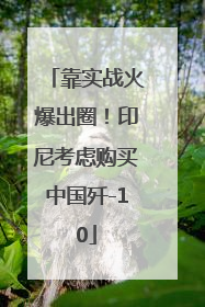 靠实战火爆出圈！印尼考虑购买中国歼-10