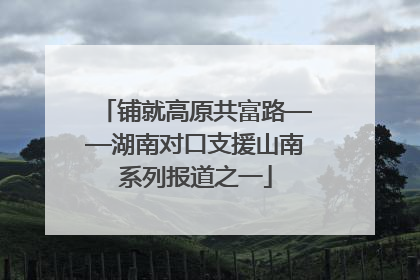 铺就高原共富路——湖南对口支援山南系列报道之一