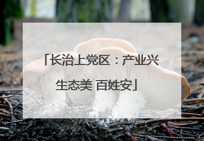 长治上党区：产业兴 生态美 百姓安