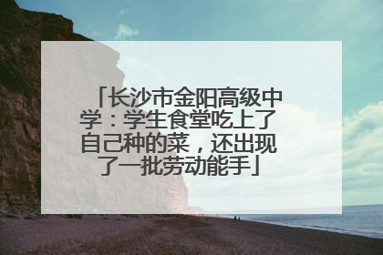 长沙市金阳高级中学：学生食堂吃上了自己种的菜，还出现了一批劳动能手