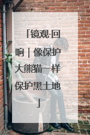 镜观·回响｜像保护大熊猫一样保护黑土地