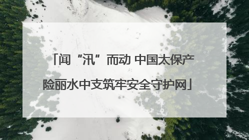 闻“汛”而动 中国太保产险丽水中支筑牢安全守护网