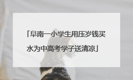 阜南一小学生用压岁钱买水为中高考学子送清凉