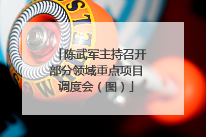 陈武军主持召开部分领域重点项目调度会（图）