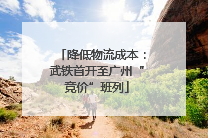 降低物流成本：武铁首开至广州“竞价”班列
